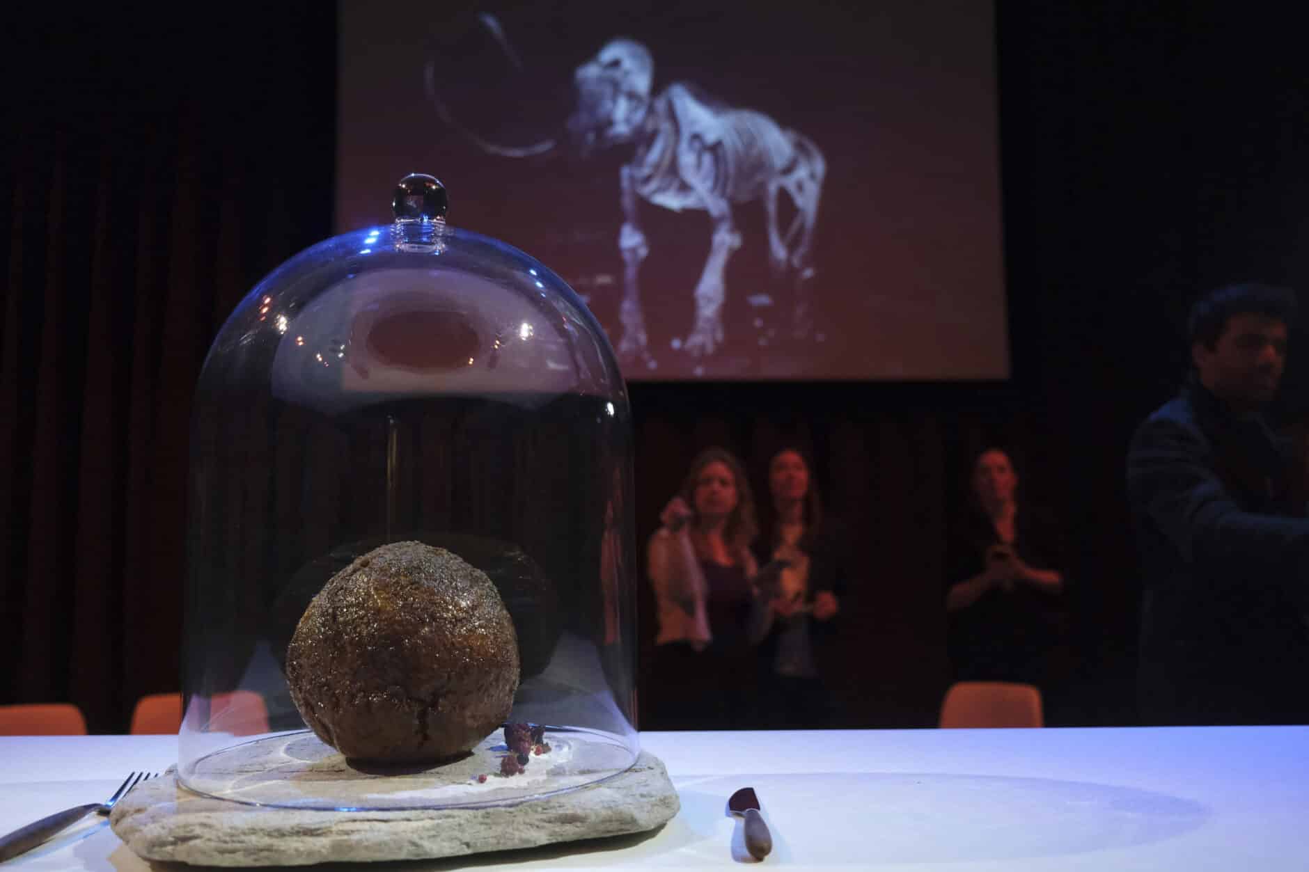 The True History Of Mammoth Meatballs Courthouse News Service